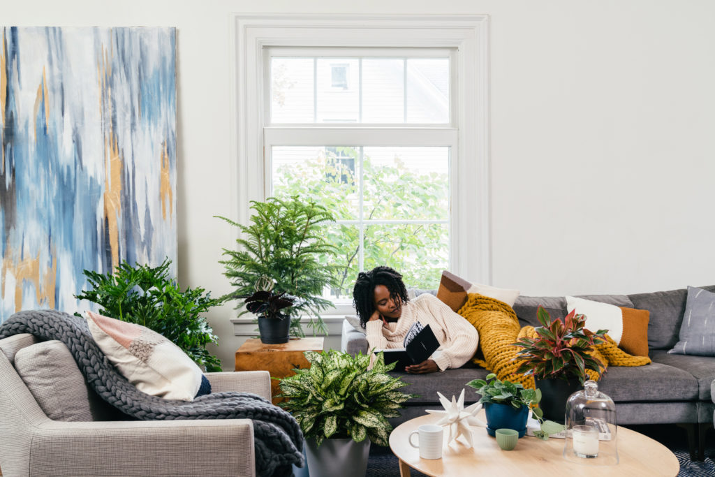 4 Strategies That Houseplants Can Help Fight Winter Blues