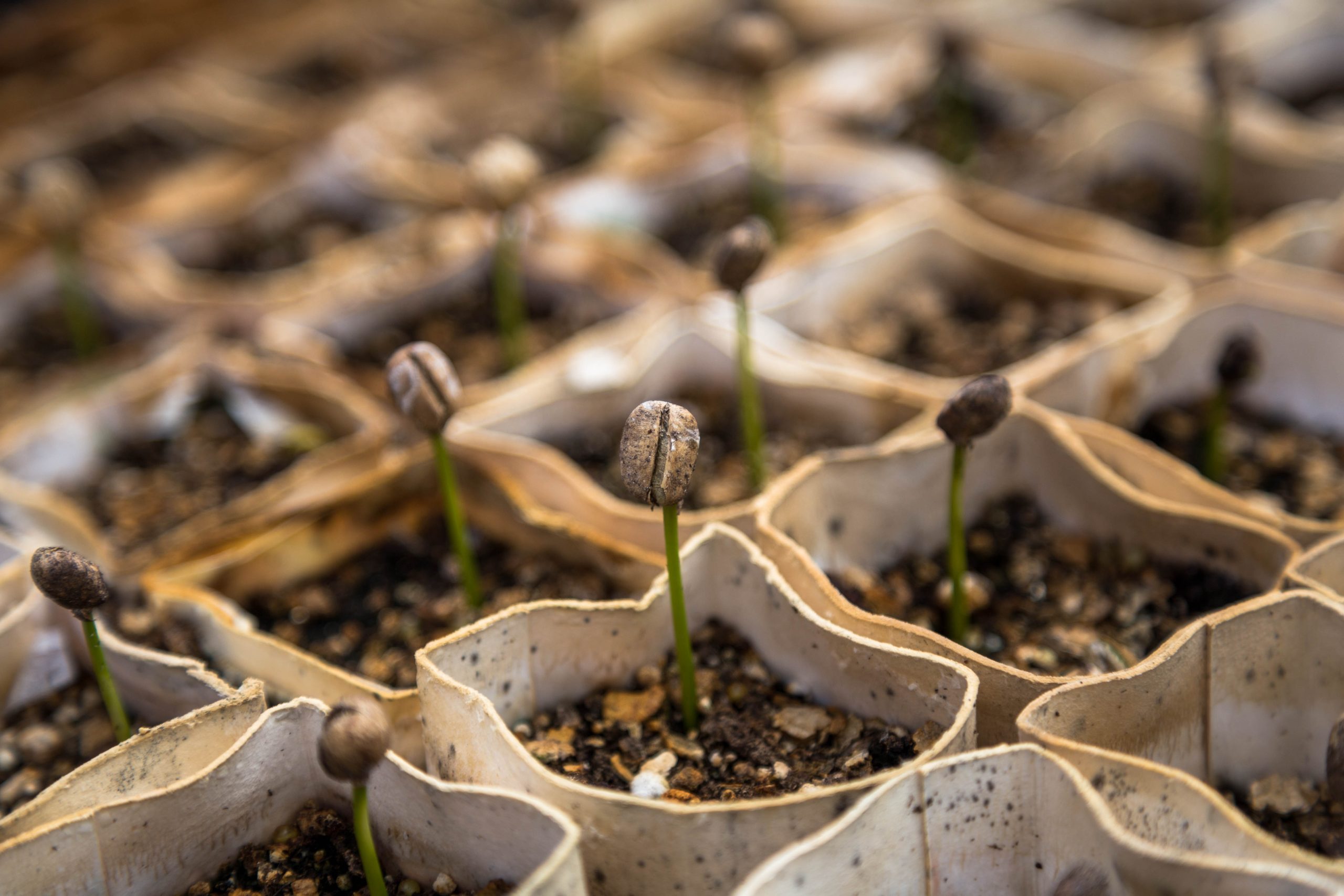 The easiest way to Wake Your Yard from Its Prolonged Winter Nap