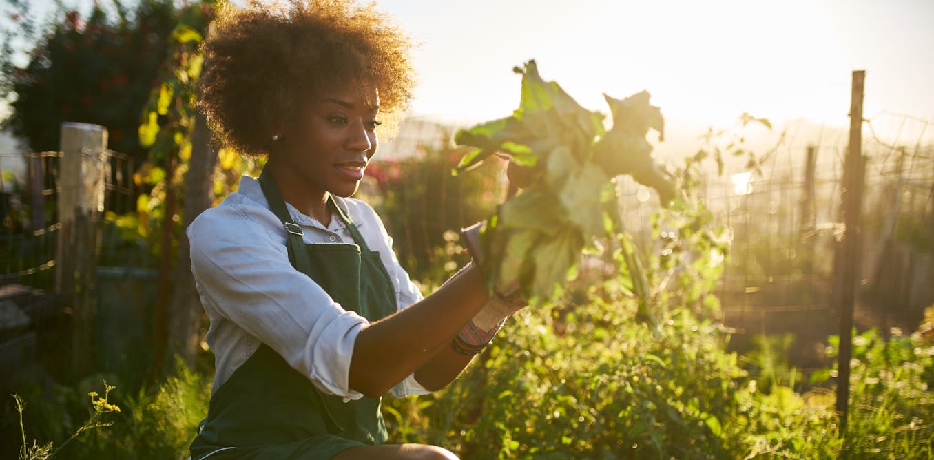 why medical docs are prescribing gardening comparatively than drugs