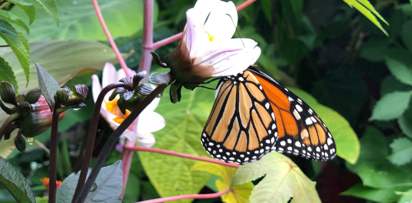 Group and college gardens don’t magically sprout bountiful benefits