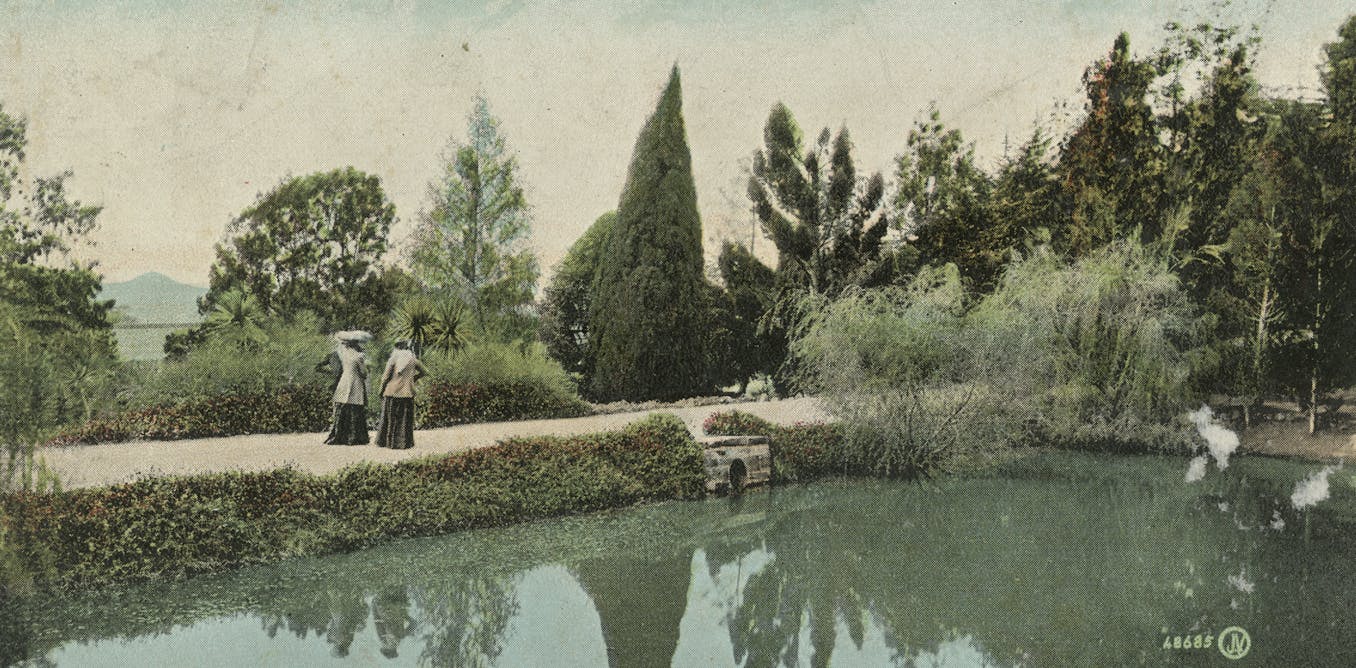 Most people historic previous, native climate change present, and attainable method ahead for Australia’s botanic gardens