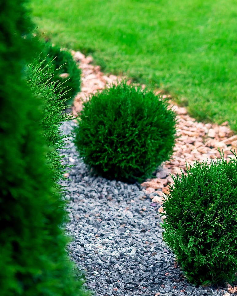 garden with wave ornamental gravel in garden edging ideas