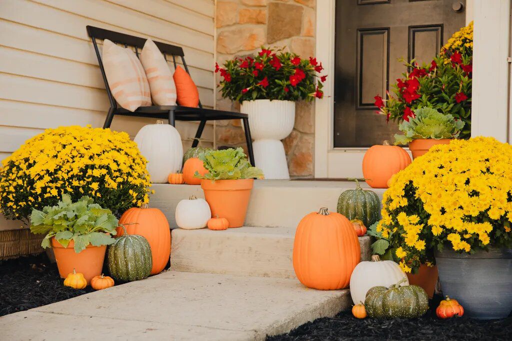 7 Wise Strategies to Protect Your Pumpkin from Rotting, a Gardener Says